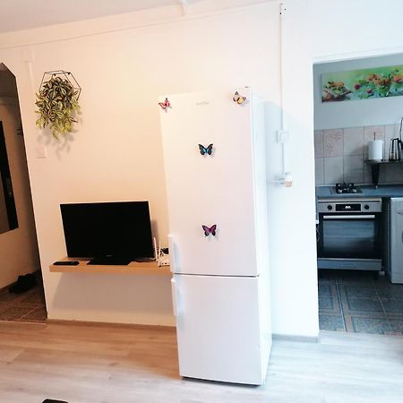 Romanilor - Studio First Floor 데바 외부 사진