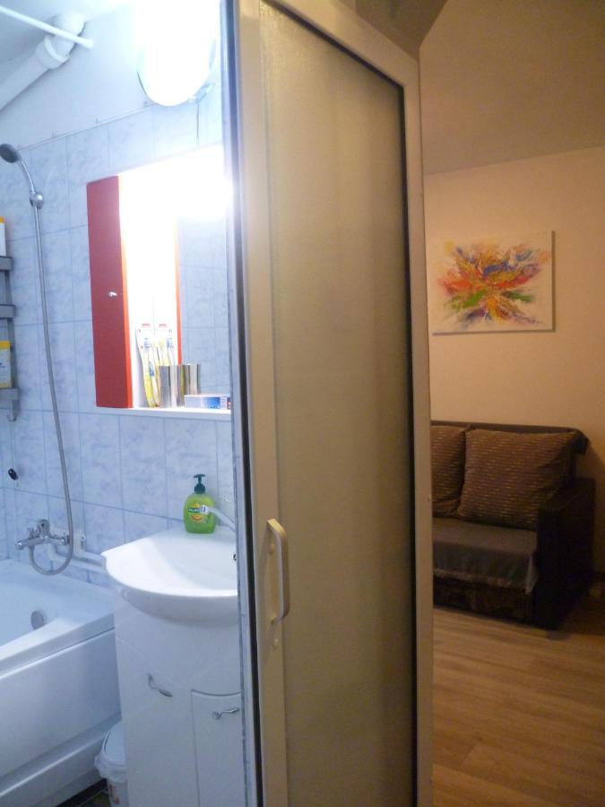 Romanilor - Studio First Floor 데바 외부 사진