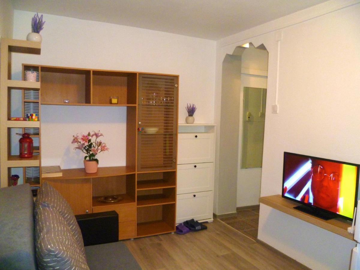 Romanilor - Studio First Floor 데바 외부 사진