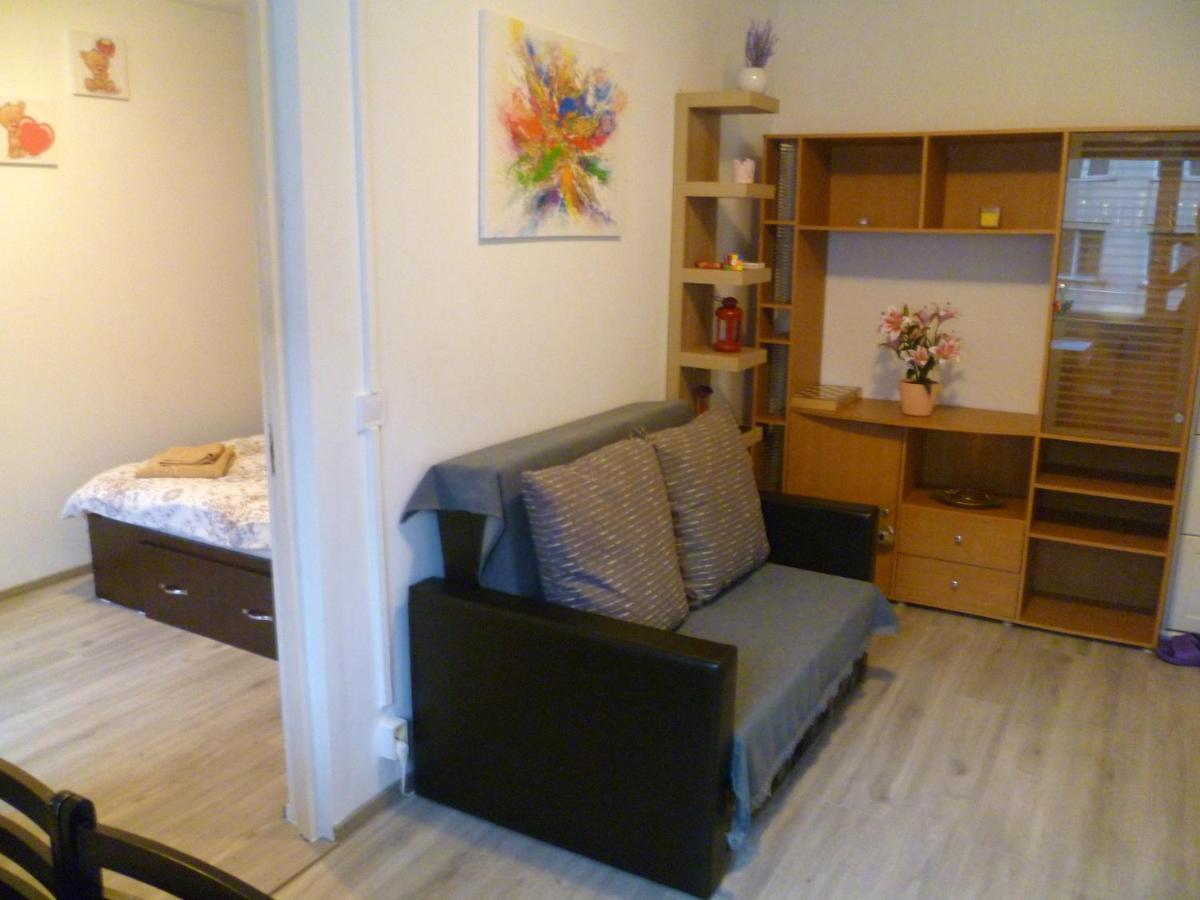 Romanilor - Studio First Floor 데바 외부 사진