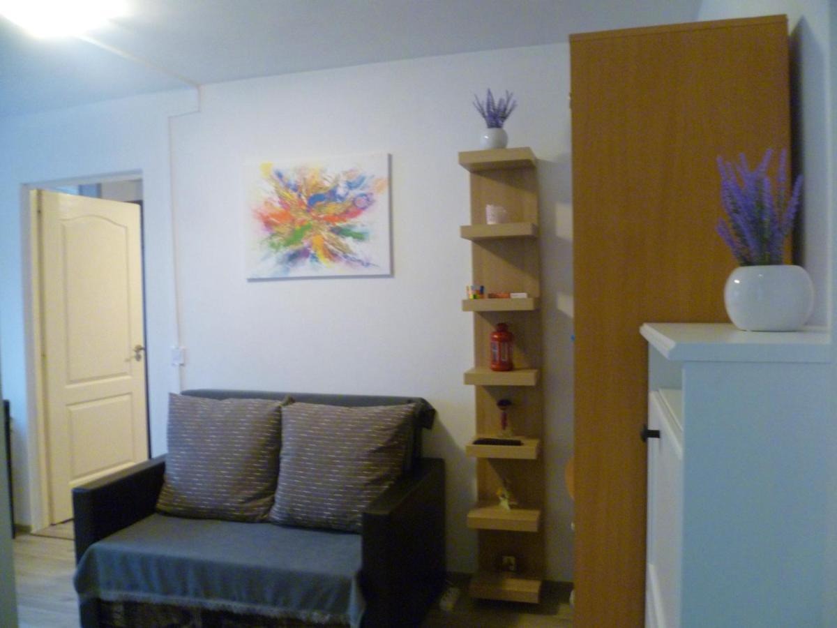 Romanilor - Studio First Floor 데바 외부 사진