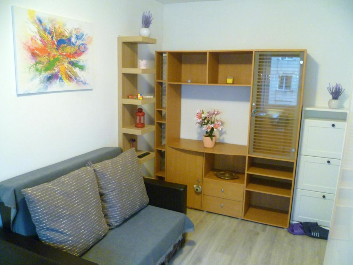 Romanilor - Studio First Floor 데바 외부 사진