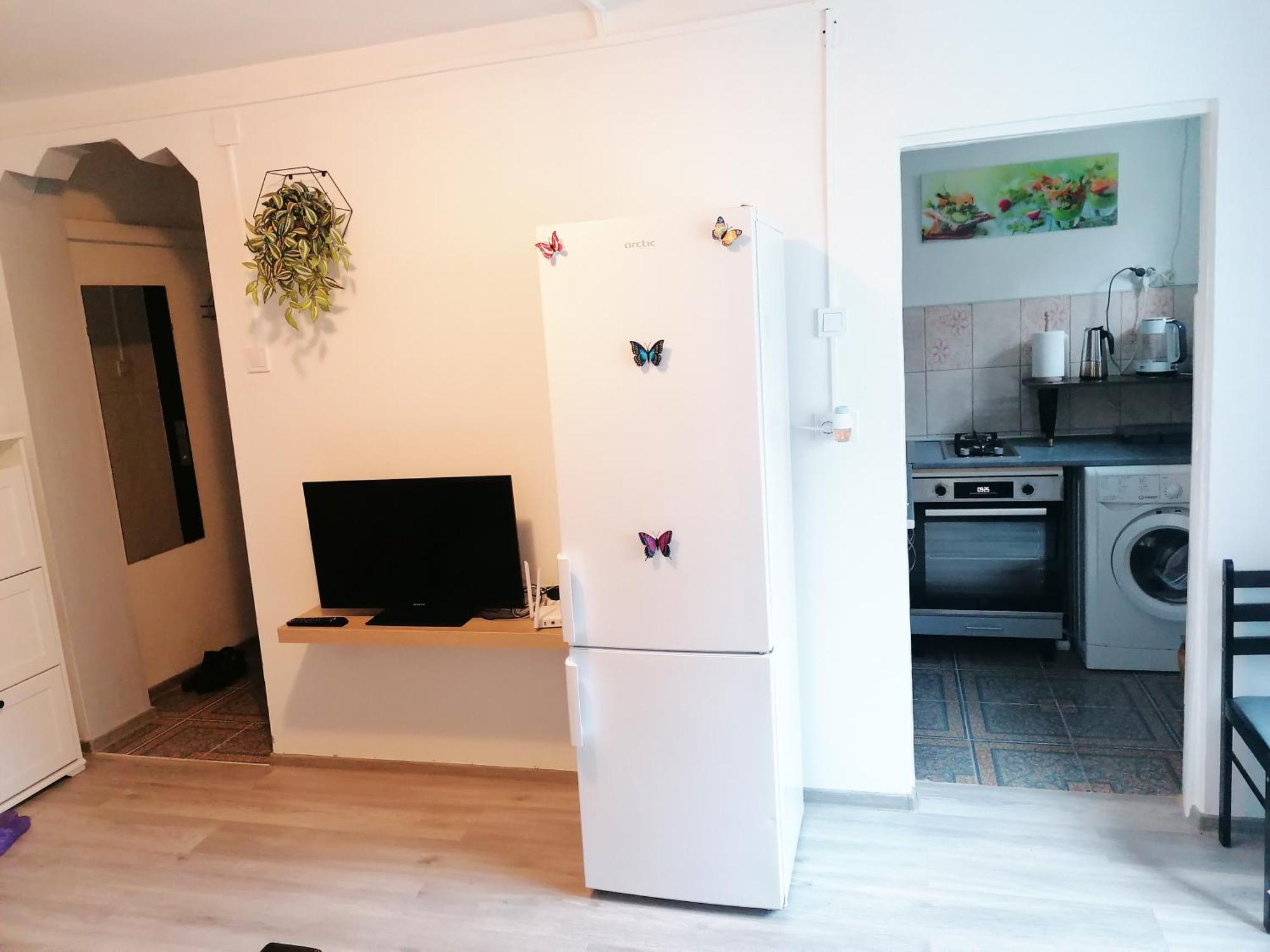 Romanilor - Studio First Floor 데바 외부 사진