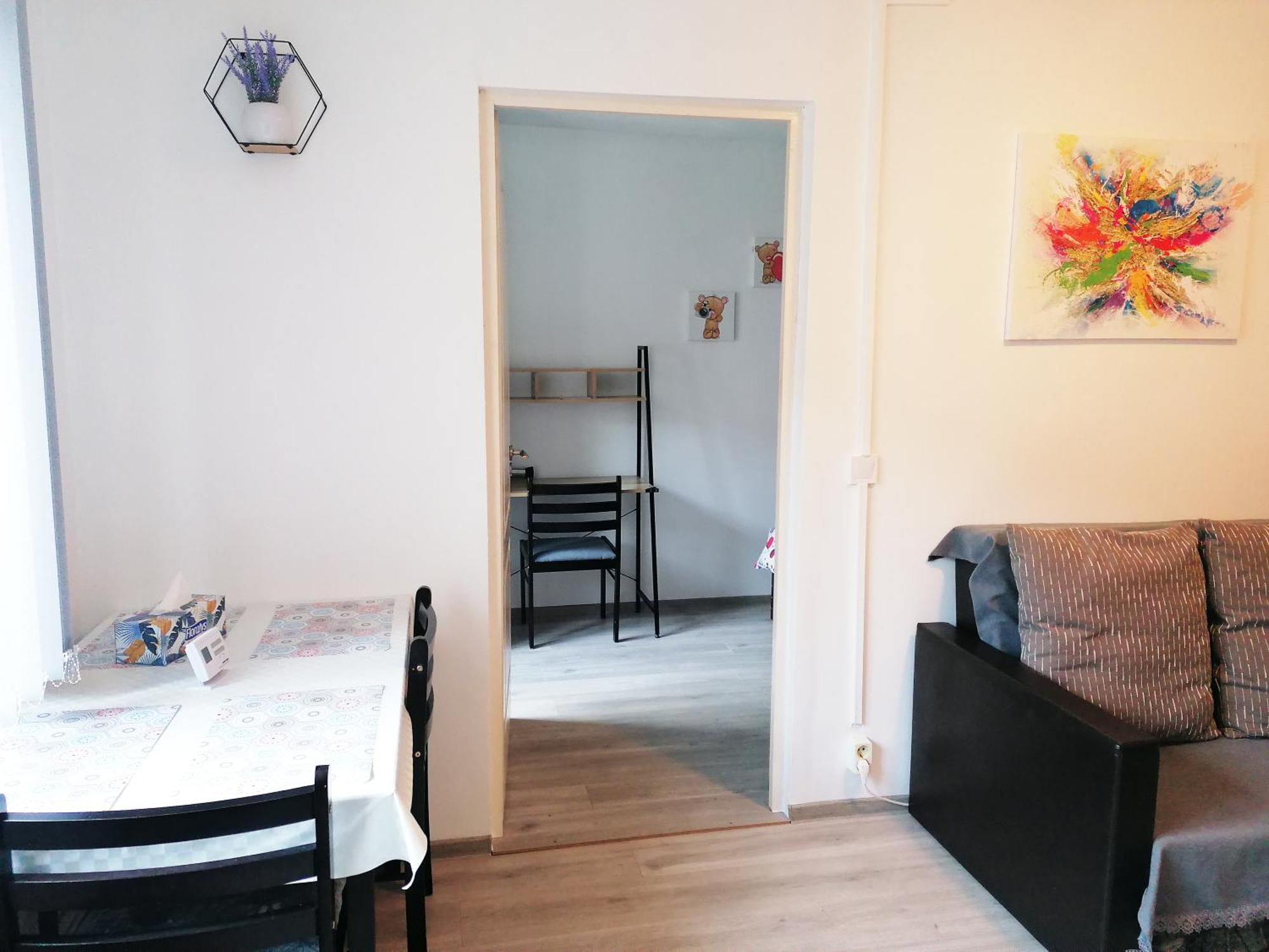 Romanilor - Studio First Floor 데바 외부 사진
